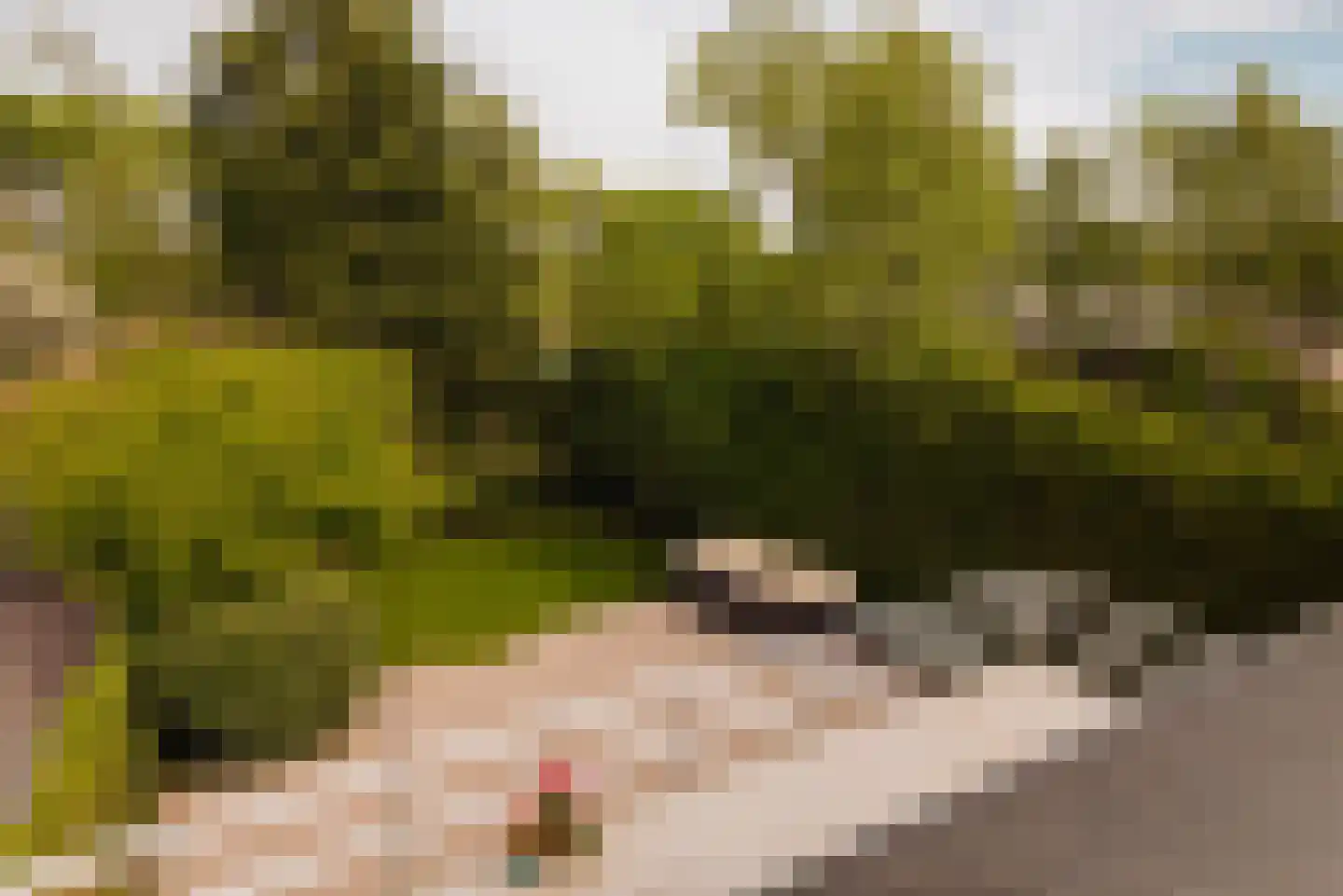 Holendrechterweg 33 C Ouderkerk aan de Amstel thumbnail 34