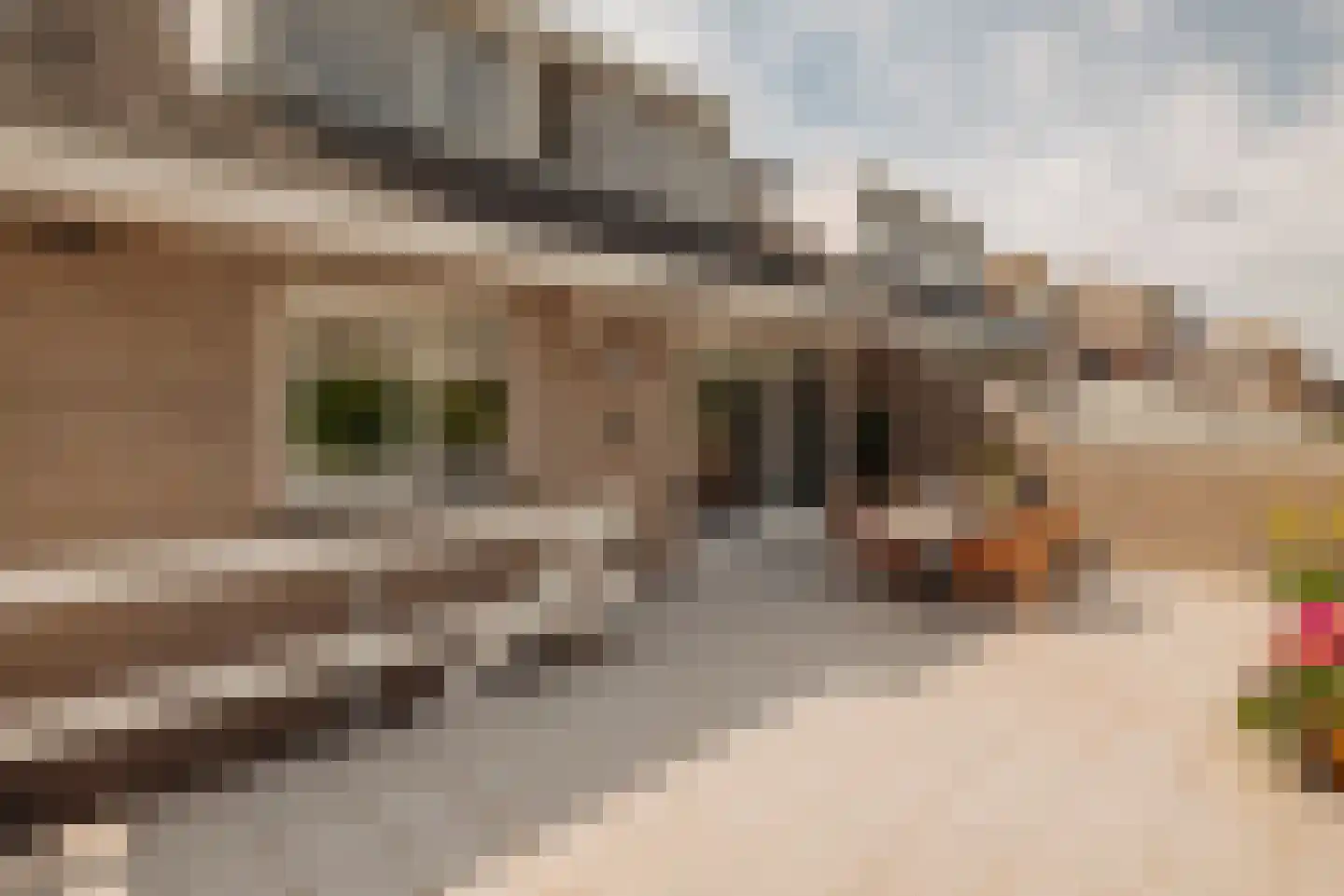 Holendrechterweg 33 C Ouderkerk aan de Amstel thumbnail 35