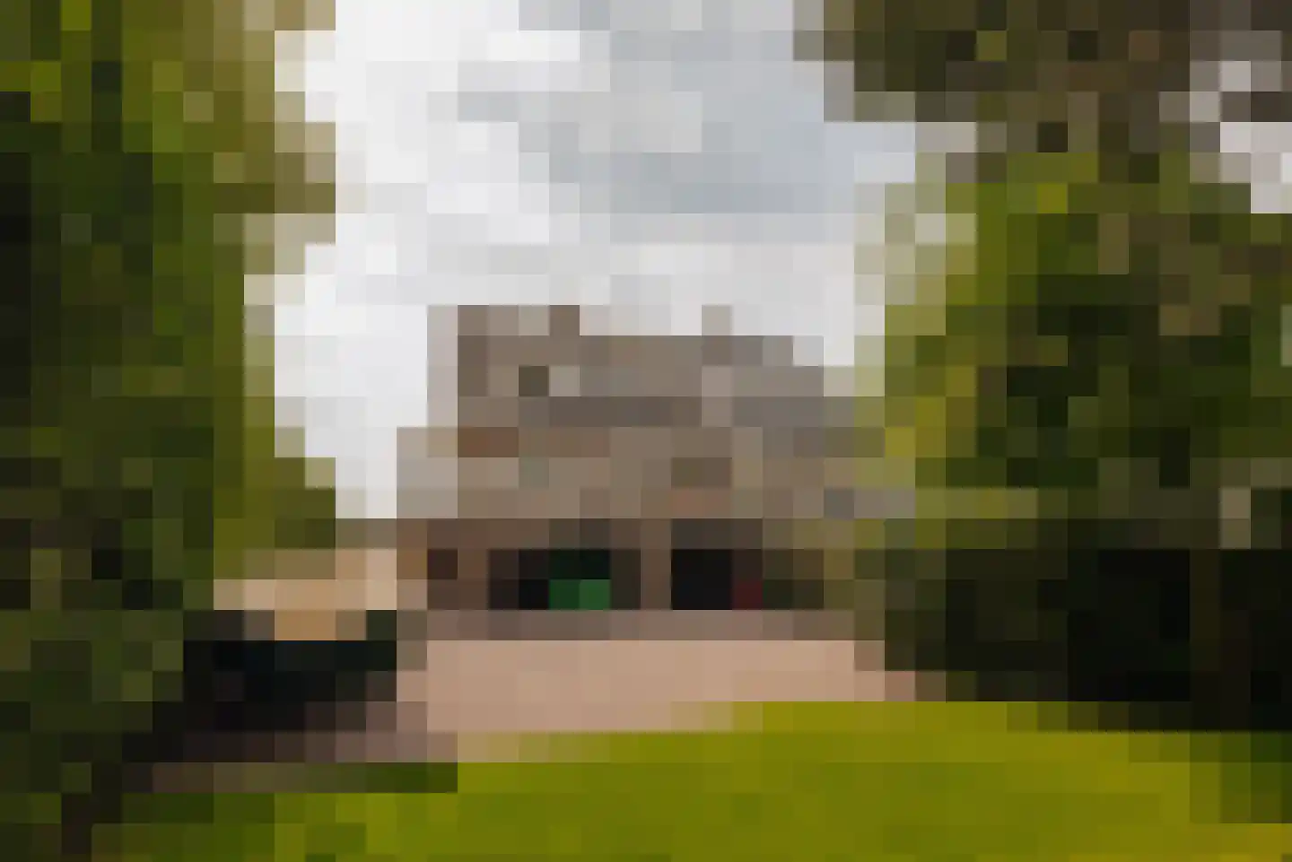 Holendrechterweg 33 C Ouderkerk aan de Amstel thumbnail 43