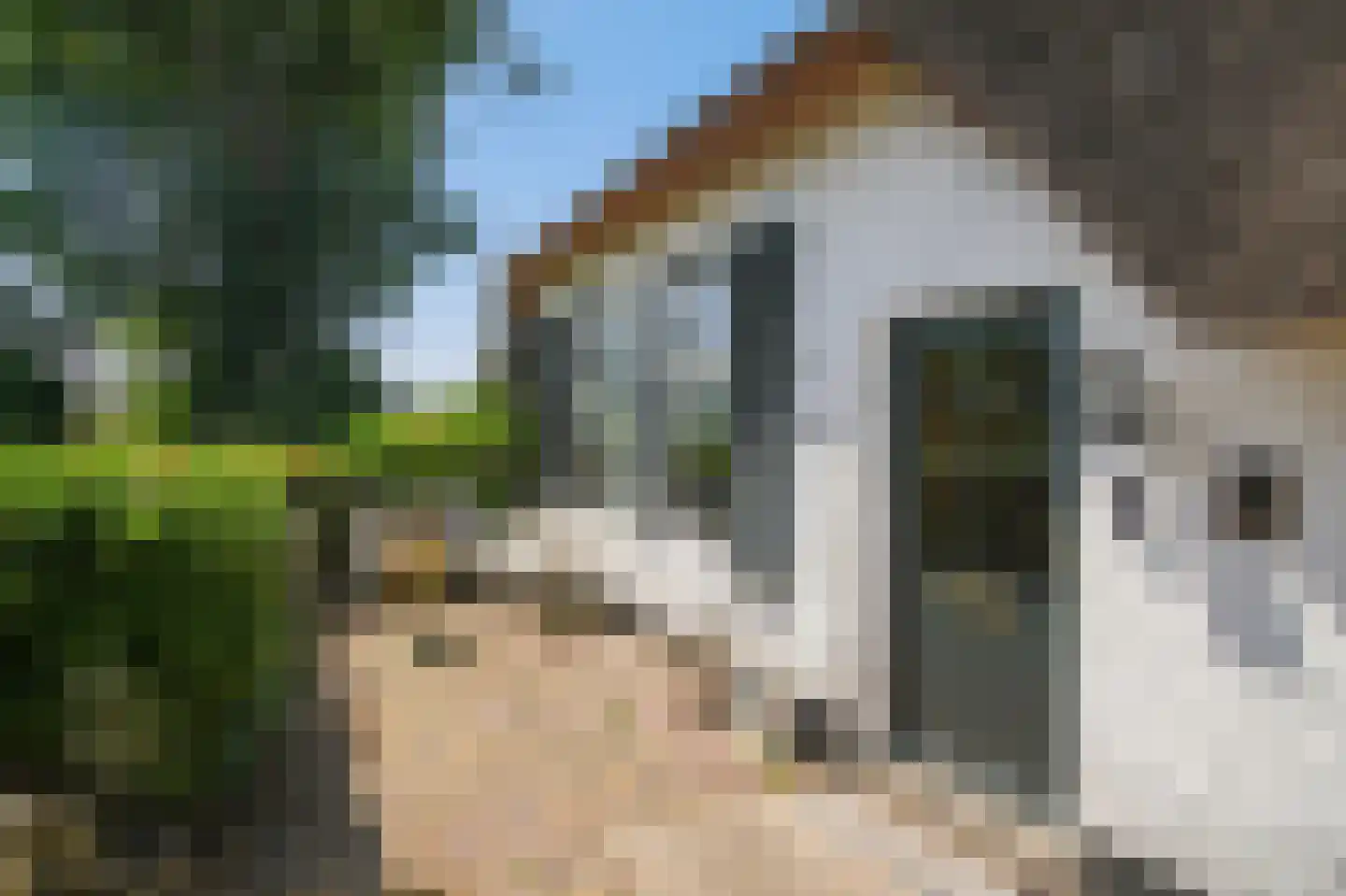 Holendrechterweg 8 Ouderkerk aan de Amstel thumbnail 9