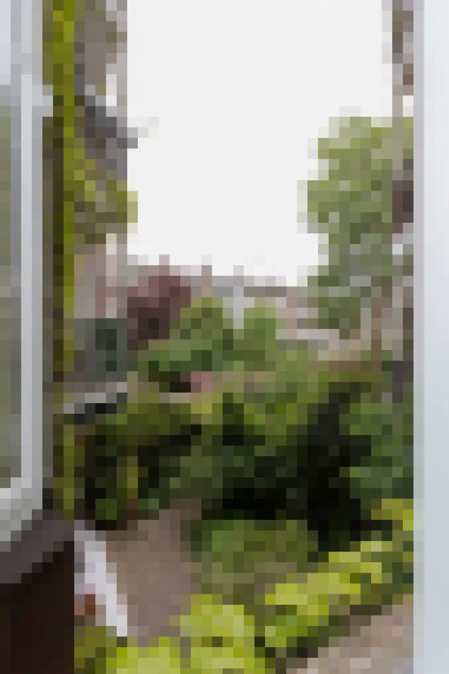 Holendrechtstraat 1 3 Amsterdam thumbnail 4