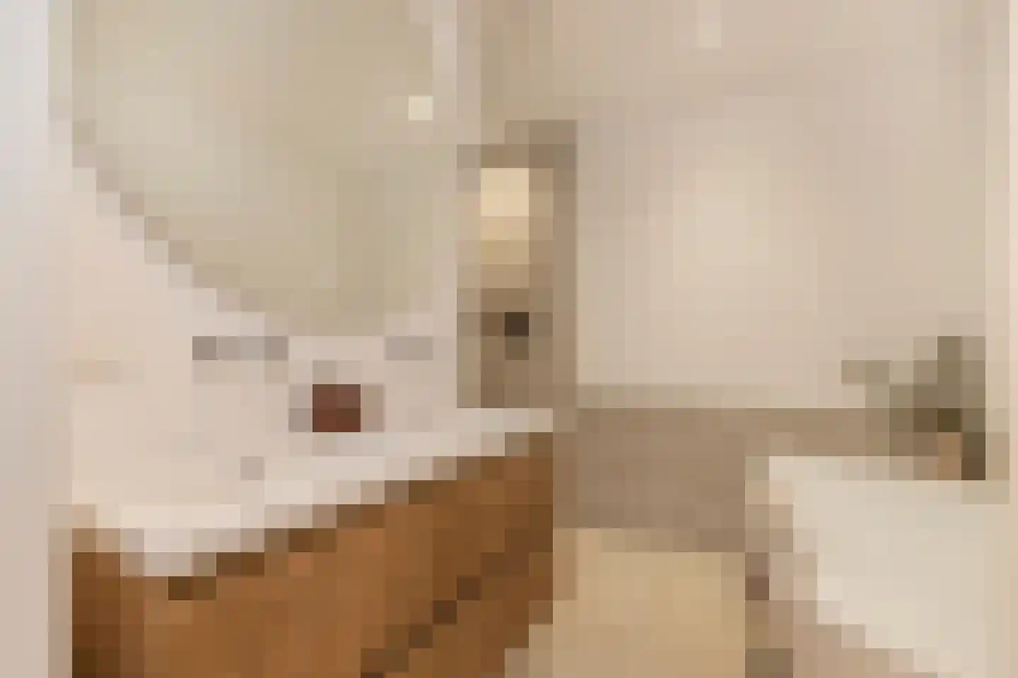 Holendrechtstraat 5 H Amsterdam thumbnail 31