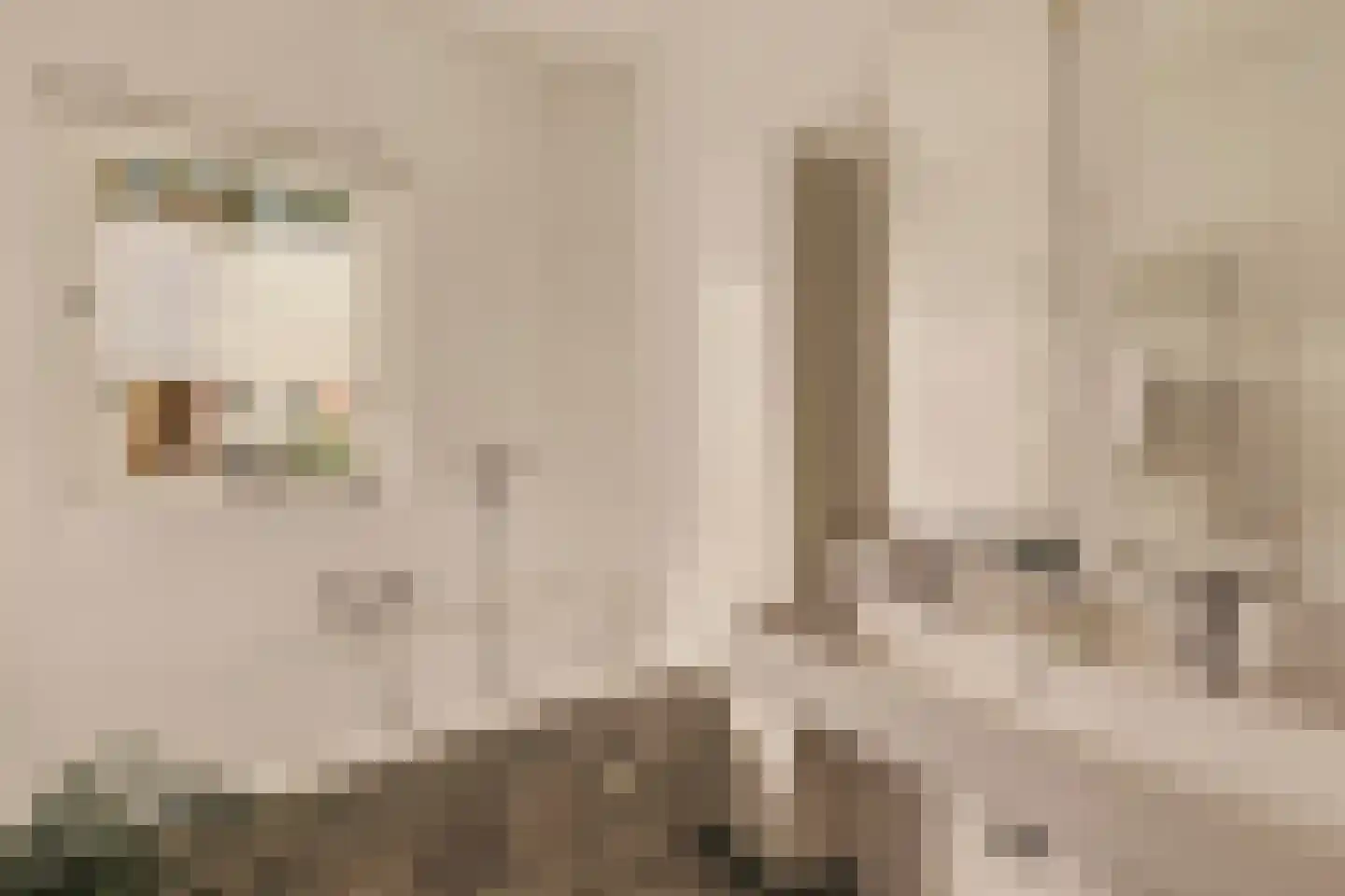 Holendrechtstraat 7 1 Amsterdam thumbnail 17