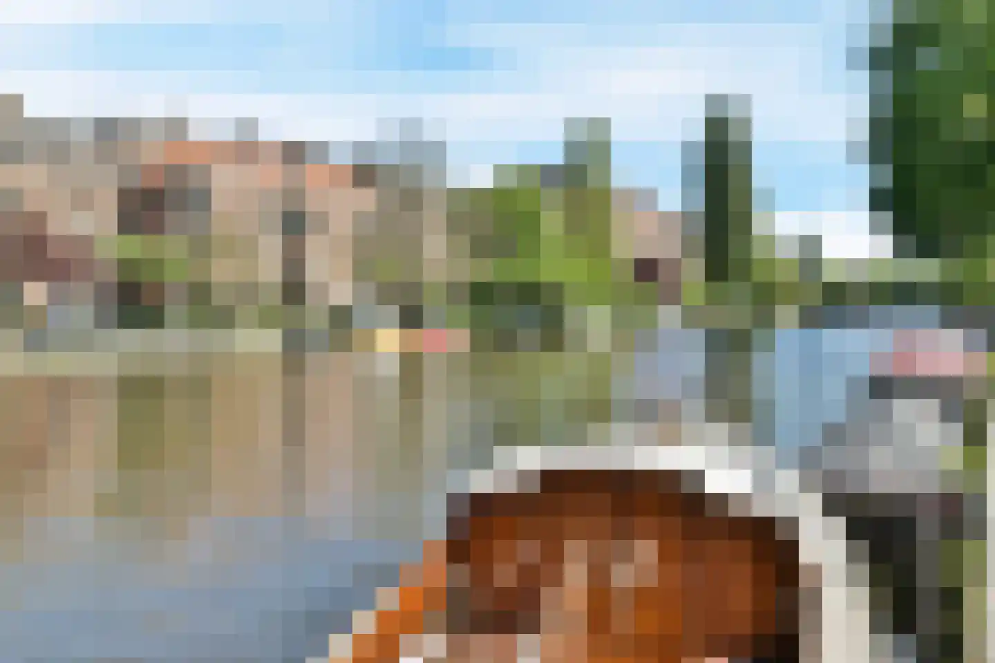 Holendrechtstraat 7 1 Amsterdam thumbnail 32