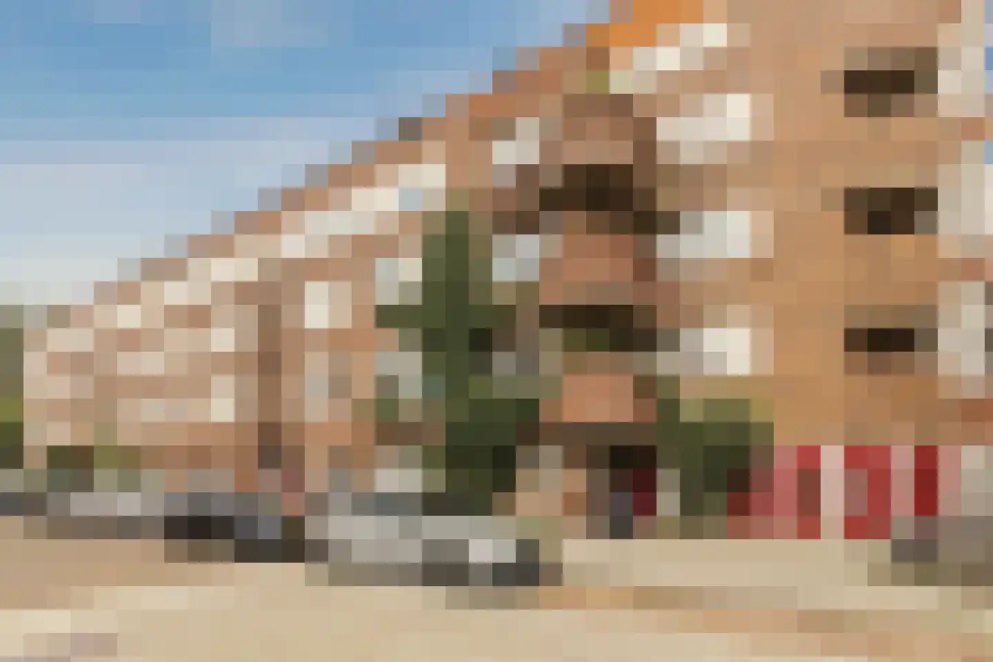 Holendrechtstraat 7 1 Amsterdam thumbnail 4