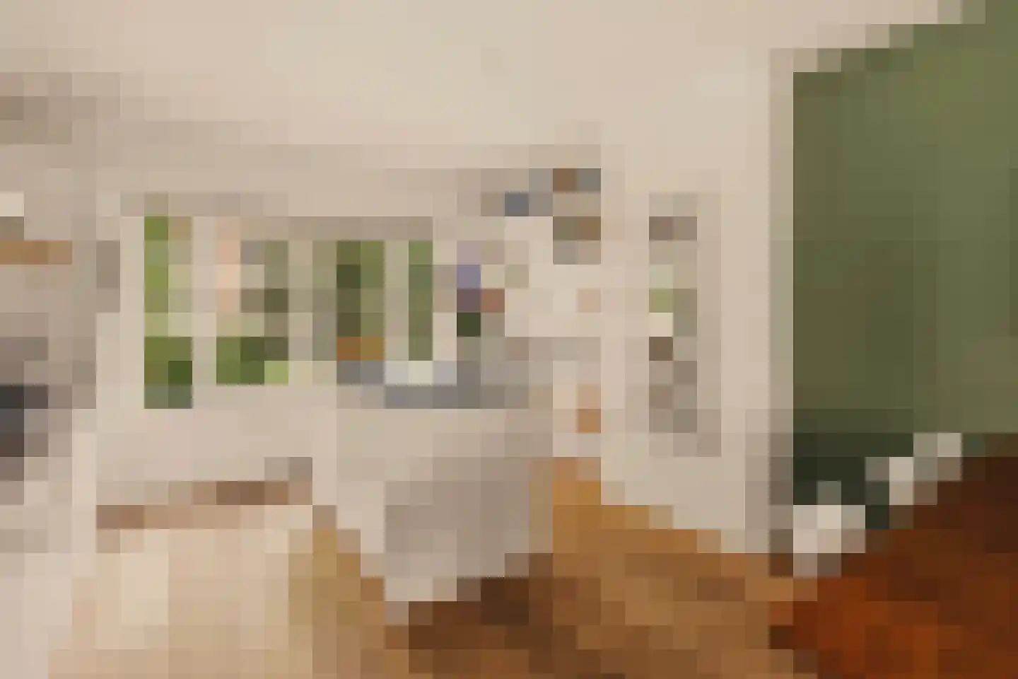 Holendrechtstraat 7 1 Amsterdam thumbnail 5