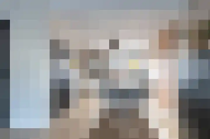 Holenduif 21 Emmen thumbnail 10