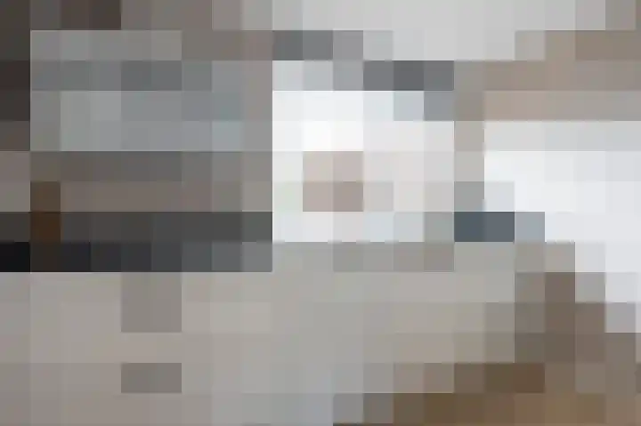 Holenduif 21 Emmen thumbnail 11