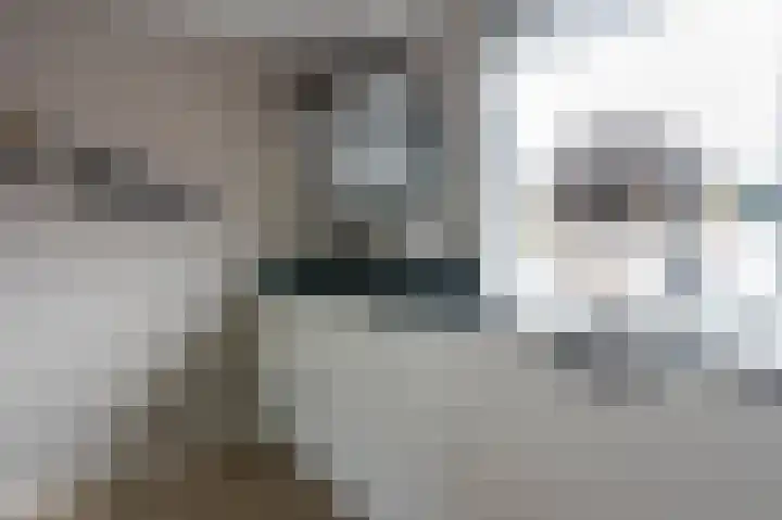 Holenduif 21 Emmen thumbnail 12