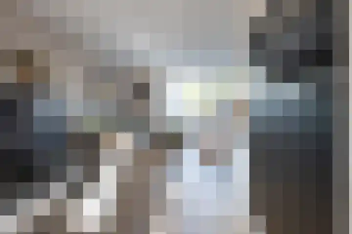 Holenduif 21 Emmen thumbnail 13