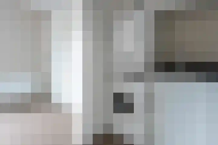 Holenduif 21 Emmen thumbnail 14