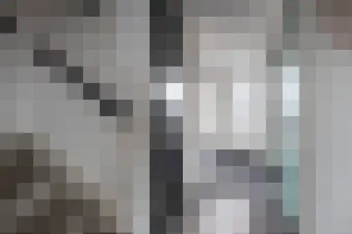 Holenduif 21 Emmen thumbnail 18