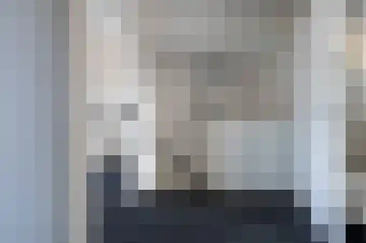 Holenduif 21 Emmen thumbnail 19