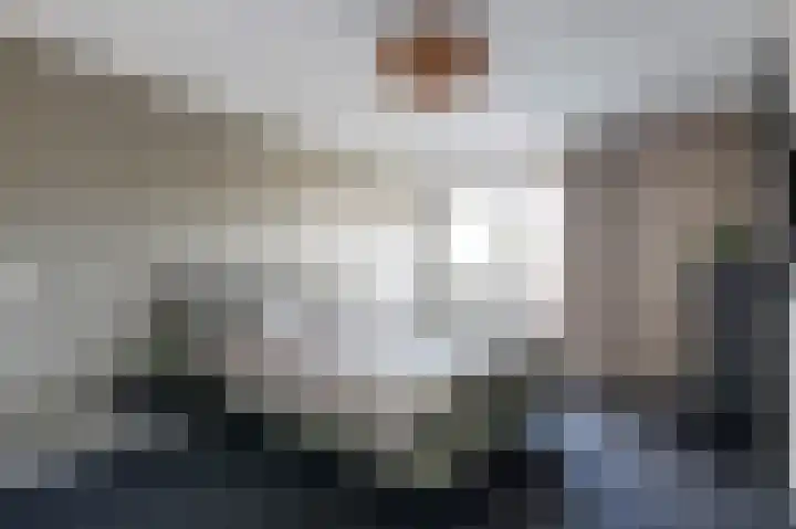 Holenduif 21 Emmen thumbnail 20