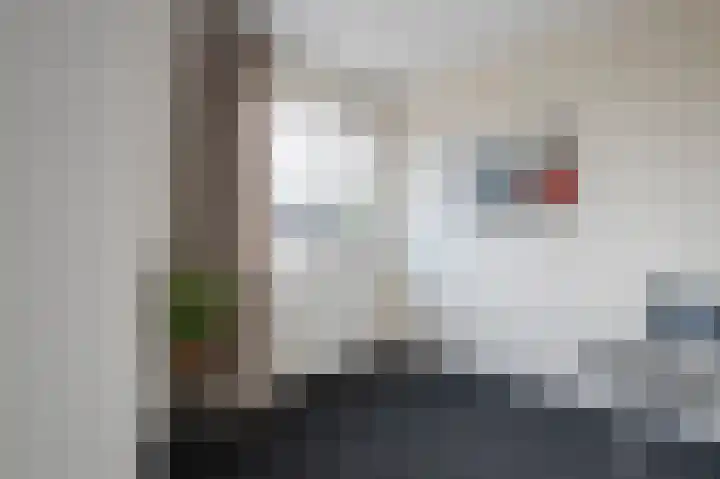 Holenduif 21 Emmen thumbnail 21