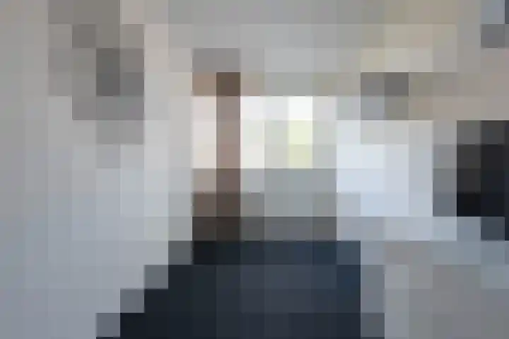 Holenduif 21 Emmen thumbnail 22