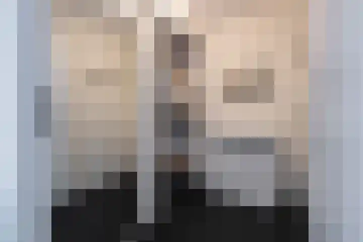 Holenduif 21 Emmen thumbnail 23