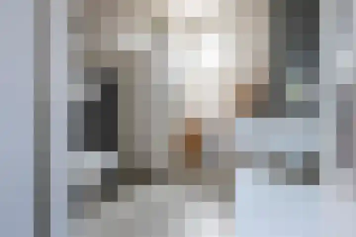 Holenduif 21 Emmen thumbnail 24