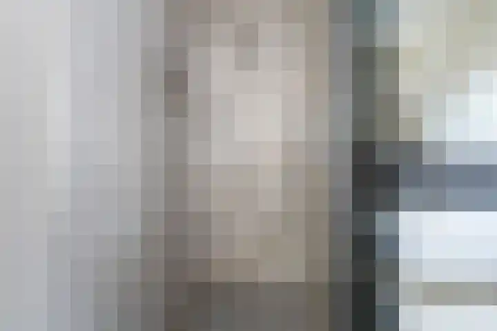 Holenduif 21 Emmen thumbnail 26