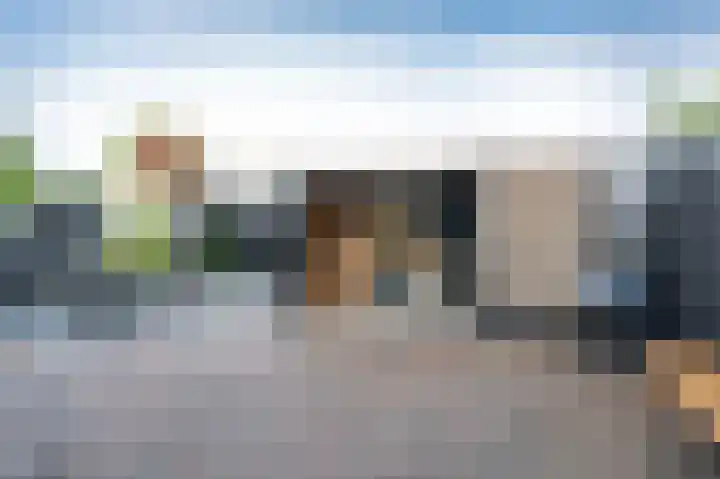 Holenduif 21 Emmen thumbnail 28