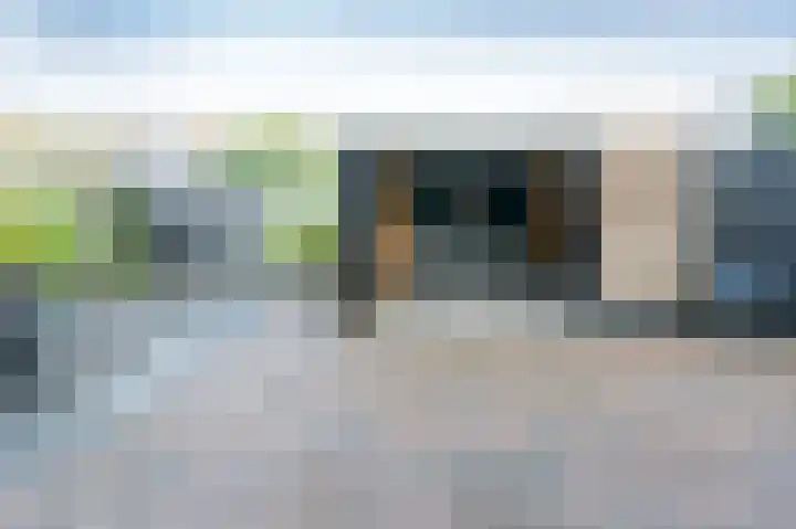 Holenduif 21 Emmen thumbnail 29