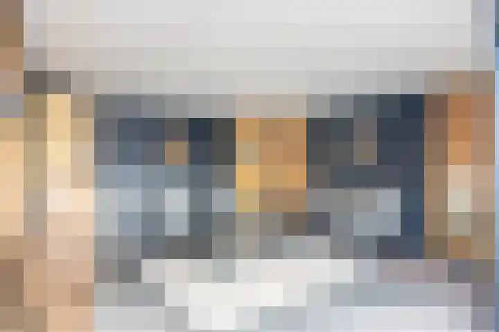Holenduif 21 Emmen thumbnail 30