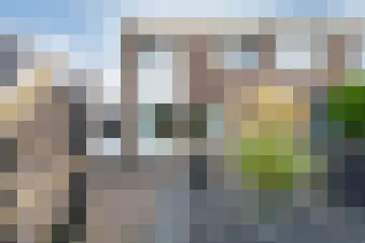 Holenduif 21 Emmen thumbnail 31