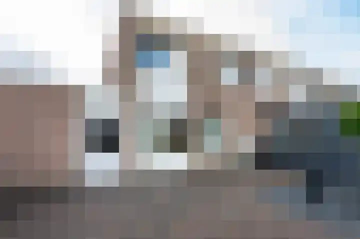 Holenduif 21 Emmen thumbnail 32