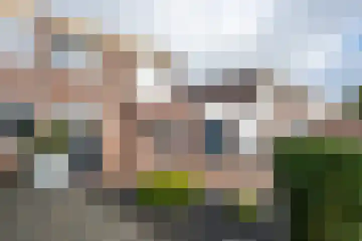 Holenduif 21 Emmen thumbnail 33