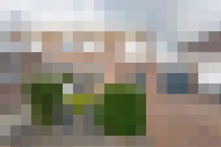 Holenduif 21 Emmen thumbnail 34