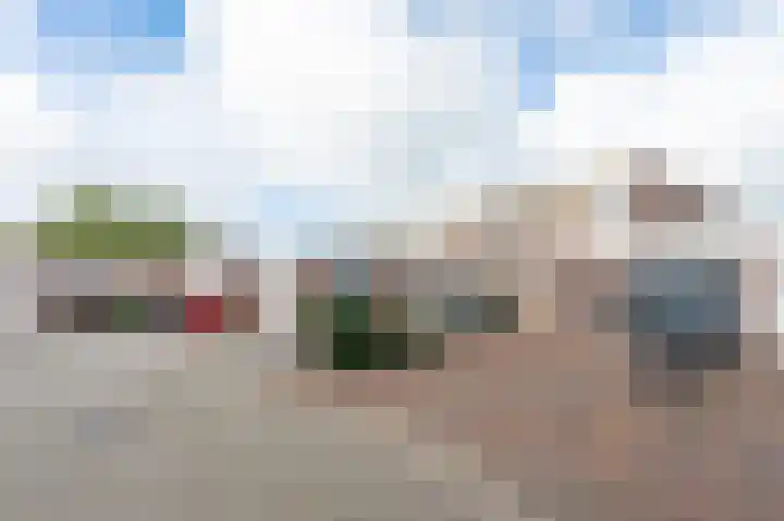 Holenduif 21 Emmen thumbnail 35