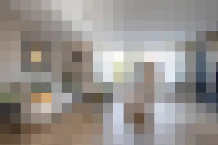 Holenduif 21 Emmen thumbnail 4