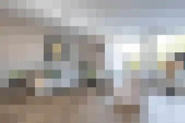 Holenduif 21 Emmen thumbnail 5
