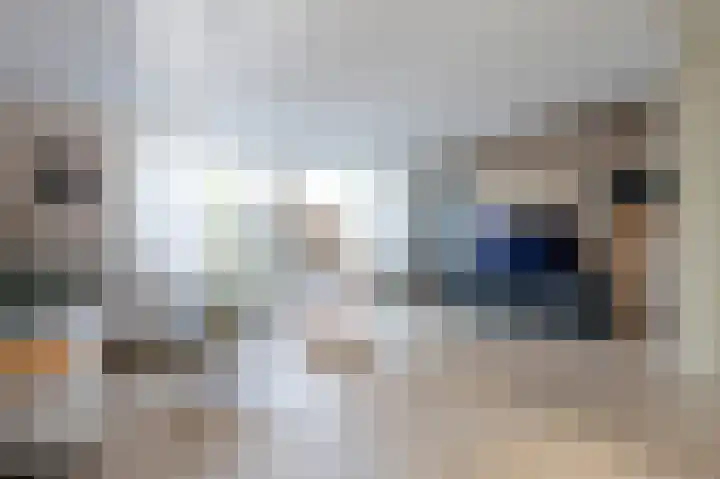 Holenduif 21 Emmen thumbnail 6