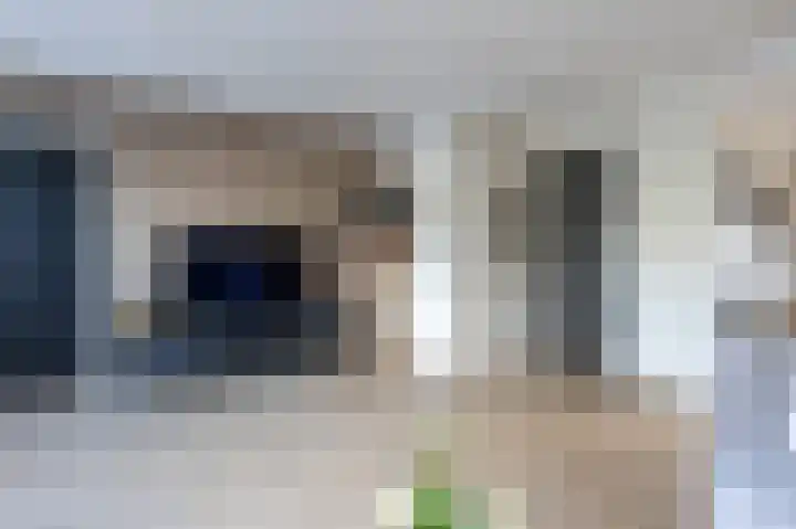 Holenduif 21 Emmen thumbnail 7