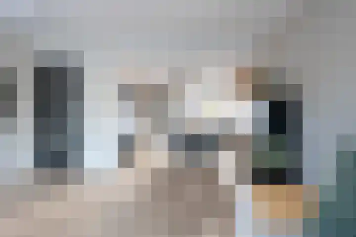 Holenduif 21 Emmen thumbnail 8