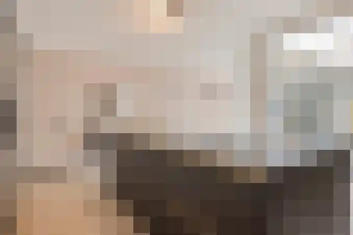 Holenduif 27 Emmen thumbnail 10