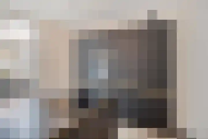 Holenduif 27 Emmen thumbnail 13