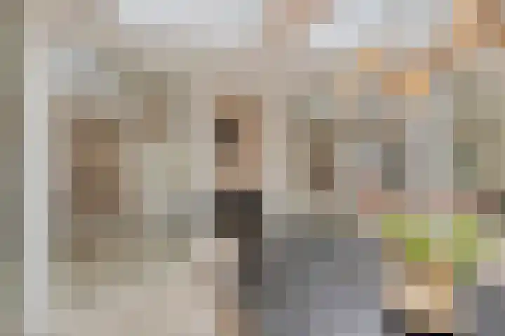 Holenduif 27 Emmen thumbnail 20