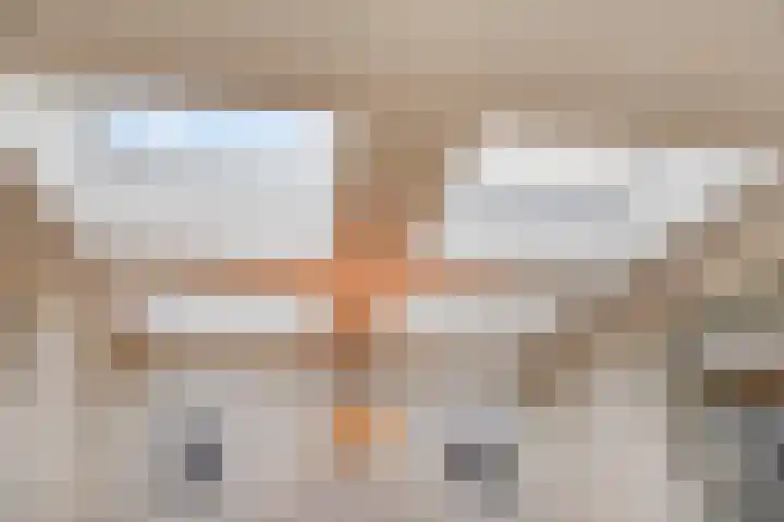 Holenduif 27 Emmen thumbnail 21