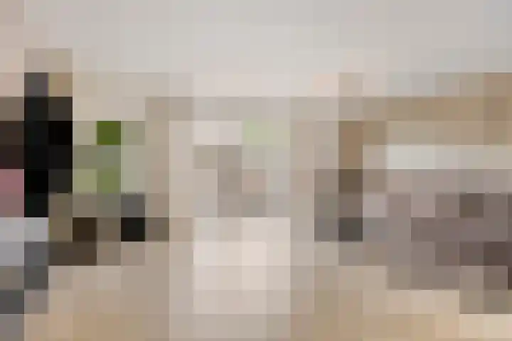 Holenduif 27 Emmen thumbnail 23
