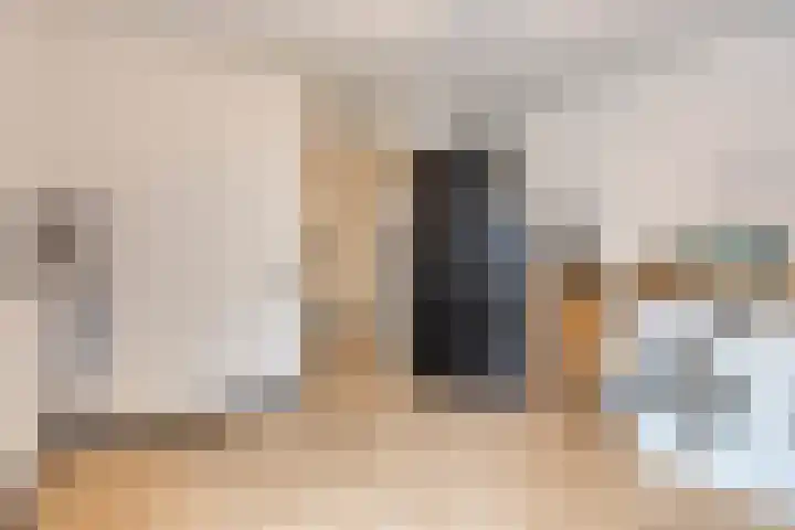 Holenduif 27 Emmen thumbnail 27