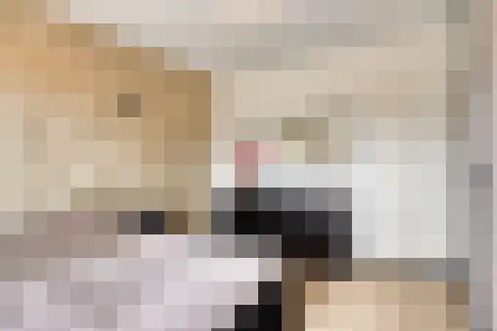 Holenduif 27 Emmen thumbnail 30