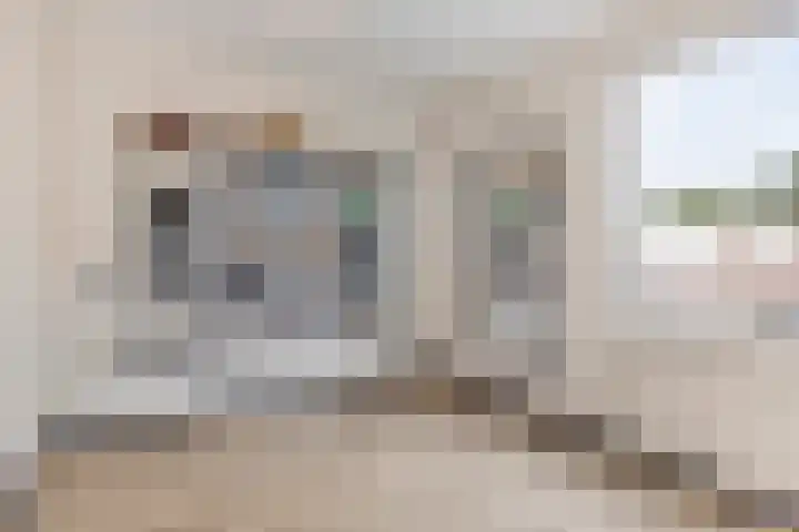 Holenduif 27 Emmen thumbnail 35
