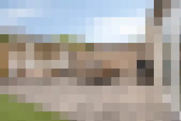 Holenduif 27 Emmen thumbnail 36