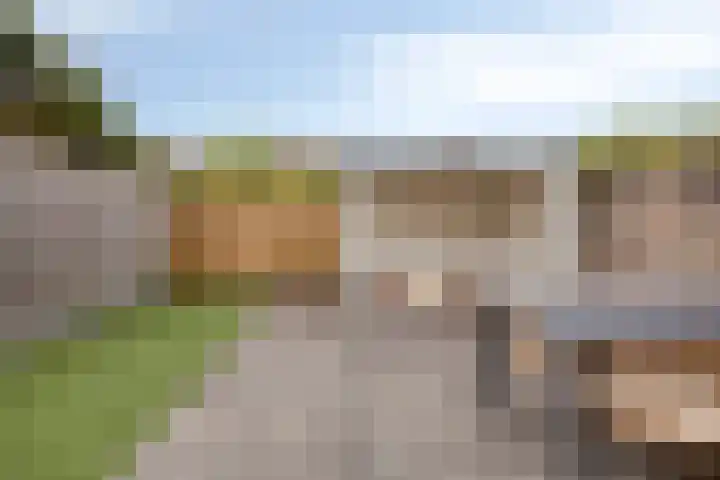 Holenduif 27 Emmen thumbnail 37