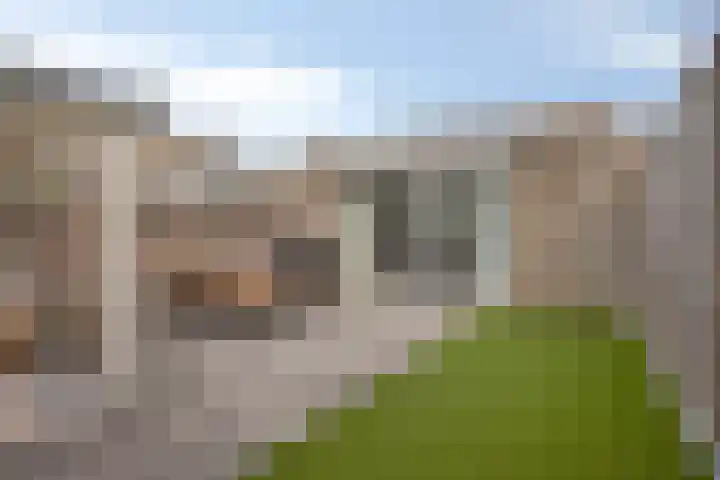 Holenduif 27 Emmen thumbnail 39