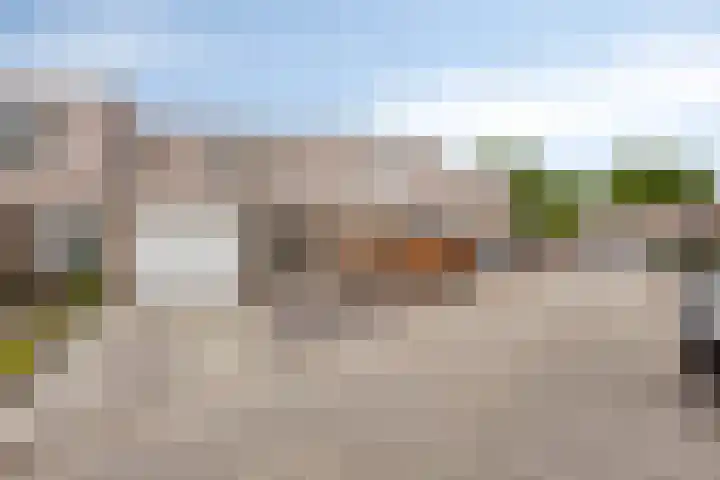 Holenduif 27 Emmen thumbnail 4