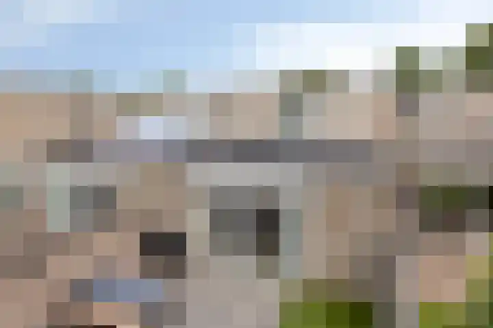 Holenduif 27 Emmen thumbnail 40