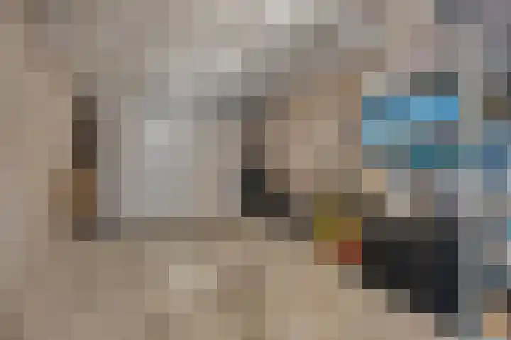 Holenduif 27 Emmen thumbnail 41
